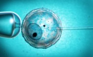 Scientists Fine Tune Embryo Freezing Methods for Fertility