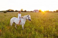 Healing horses help children cope with loss