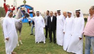 “المهند اخناتون” بطلا للجولة الأولى لكأس رئيس دولة الامارات للخيول العربية الأصيلة في مصر