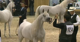 النتائج النهائية لبطولة كل الأمم آخن ٢٠١١