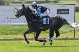 الجواد «دوسرعذبة» يحقق أولى انتصاراته  بمشاركته الأولى في كأس مزرعة الوثبة استيك