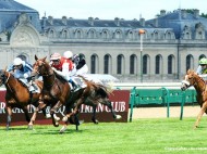 المهر دهام يفوز بكأس قطر فرنسا للخيل العربية الأصيلة