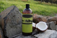 Coconut oil how could it help your horse?