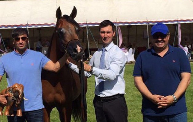 “الريان” و”عجمان” و”الخشاب” و” الهواجر” أبطال (ستوخن) الدولية 2016 لجمال الخيل العربية بألمانيا – النتائج النهائية