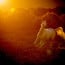 why gut health is key for a happy horse Horse & Hound