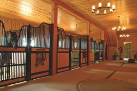 يوميات مربط: أساسيات في بناء الإسطبلات