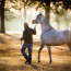 Understanding horse intelligence