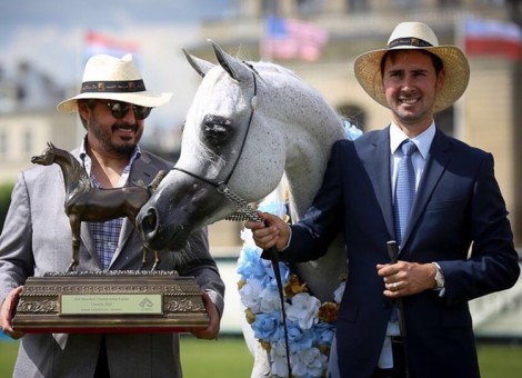 «الزبير» و «عجمان» و «الجاسمية» و «الشحانية» ابطال العالم لمنظمة الجواد العربي ٢٠١٦ – النتائج النهائية