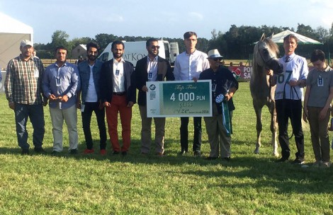 «عجمان» و «العالية» و«البيداء» و «الخشاب» ابطال (الخالدية) الأوروبي للخيل العربية 2016 ببولندا – النتائج النهائية