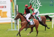 نجاح كبير لمهرجان منصور بن زايد للخيول العربية بسان داون بانجلترا