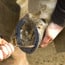 Finding a Farrier