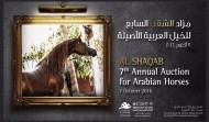 قائمة مزاد الشقب السابع للخيل العربية الأصيلة ٢٠١٦