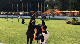 انطلاق بطولة الشرق الاوسط  ٢٠١٦ لجمال الخيول العربية