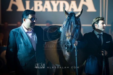 مقتطفات من اليوم الختامي لبطولة كأس كل الأمم آخن ٢٠١٦ لجمال الخيل العربية الأصيلة