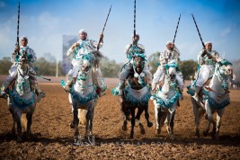 مقتطفات صور من معرض الفرس بالجديدة ٢٠١٦