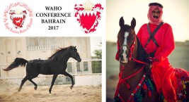 إقامة مؤتمر (الواهو) لعام 2017 بالبحرين – الجدول الزمني للفعاليات