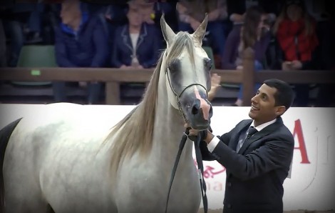 «الشقب» و «الخشاب» و«الخالد» و«عجمان» و«المحمدية» أبطال البطولة الاوربية 2016 ببلجيكا – النتائج النهائية