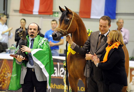 «الخالدية» تختال في المضامير الأوروبية وتضم ذهب «الجمال» إلى إنجازاتها