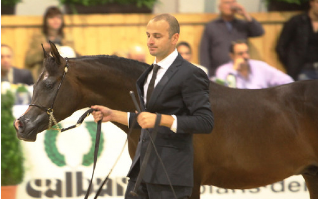 “فان جوخ” يظفر بفضية الأمهار في بطولة آخن