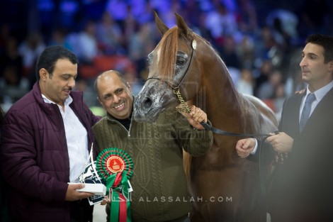 مقتطفات صور من اليوم الثاني بطولة العالم باريس ٢٠١٦