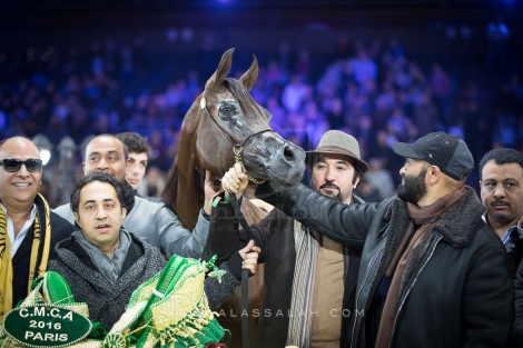 «دبي» يتربع على القاب بطولة العالم وذهب «الصقران» و«عذبه» الأكثر اثارة وحققوها بجدارة – النتائج النهائية بالصور