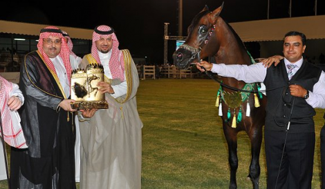 «أبناء خادم الحرمين» و«الفهدية» و«الصوراي» و»عراب الصحراء» تتفرد بالذهب في حضرة «الجمال»