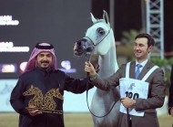 «دبي» و «الزبير» يحصدان ذهب (الشارقة) للإنتاج المحلي في نسخته الـ 13 – النتائج النهائية