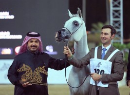 «دبي» و «الزبير»  يحصدان ذهب (الشارقة) للإنتاج المحلي في نسخته الـ 13 – النتائج النهائية