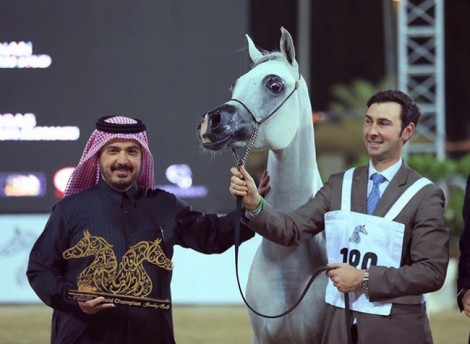 «دبي» و «الزبير»  يحصدان ذهب (الشارقة) للإنتاج المحلي في نسخته الـ 13 – النتائج النهائية