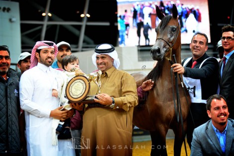 مقتطفات صور من بطولة قطر المحلية الـ ١٩ لجمال الخيل العربية الأصيلة – عدسة: ميثم المبارك