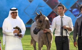 (دبي) و(الزبير) يتألقان في أول أيام بطولة عجمان لجمال الخيول العربية  في نسختها الـ15 – نتائج الفئات