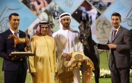 «الزبير» و «دبي» و «هنايا» أبطال عجمان ٢٠١٧ لجمال الخيول العربية – النتائج النهائية