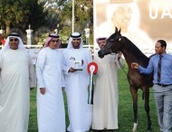 مشاركة قياسية “618 جواداً” في بطولة الإمارات الوطنية لجمال الخيول العربية