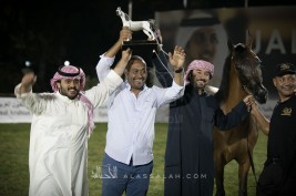 مقتطفات صور من بطولة الإمارات الوطنية لجمال الخيل العربية الأصيلة ٢٠١٧