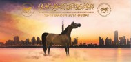 بدء التسجيل ببطولة دبي الدولية ٢٠١٧ للجواد العربي – رابط التسجيل