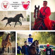 مؤتمر المنظمة العالمية للخيل العربية الأصيلة WAHO ينطلق اليوم بالبحرين