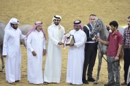 اختتام بطولة قطر الدولية السابعة لجمال خيل الجزيرة العربية – النتائج النهائية