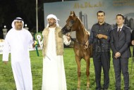 انطلاق بطولة أبوظبي الدولية لجمال الخيول العربية 2017 – نتائج فئات اليوم الأول
