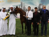 نتائج فئات اليوم الثاني لبطولة أبوظبي الدولية لجمال الخيول العربية 2017