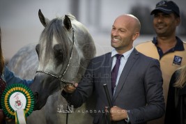 نتائج فئات اليوم الثالث والرابع لبطولة أبوظبي الدولية لجمال الخيول العربية 2017