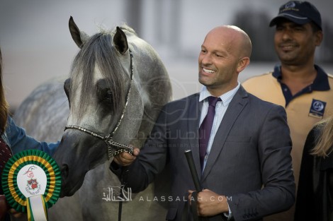 نتائج فئات اليوم الثالث والرابع لبطولة أبوظبي الدولية لجمال الخيول العربية 2017