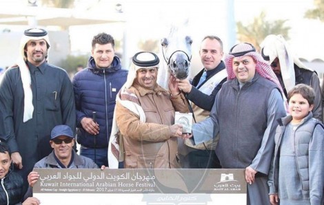 اختتام كأس الأمم الثانية لجمال الخيل المصرية ضمن مهرجان الكويت الدولي للجواد العربي 2017 – النتائج النهائية