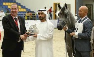 انطلاقة قوية لمهرجان الشارقة الدولي الثامن عشر للجواد العربي – نتائج فئات اليوم الأول