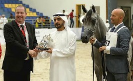 انطلاقة قوية لمهرجان الشارقة الدولي الثامن عشر للجواد العربي – نتائج فئات اليوم الأول