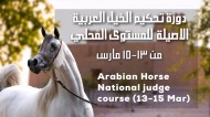 الشقب يعلن عن إقامة دورة تحكيم الخيل العربية الأصيلة