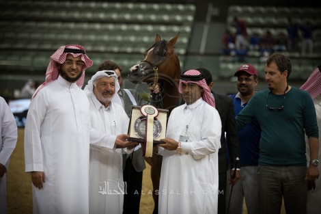 مهرات «الشقب» تتألق في أول أيام بطولة قطر الدولية الــ26 لجمال الخيل العربية – نتائج الفئات