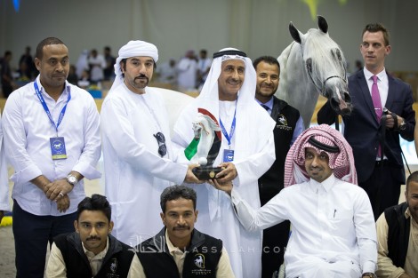 «إكسكاليبور» يحقق أعلى درجة في «دبي الدولية ٢٠١٧» للجواد العربي – نتائج فئات اليوم الثاني