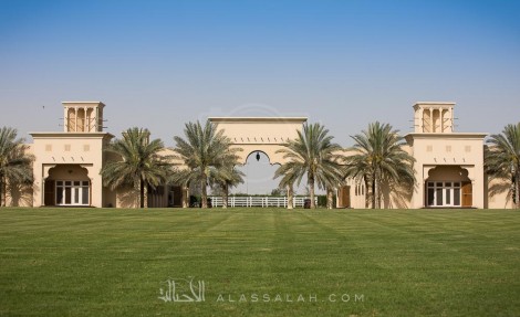 صور مقتطفة من اليوم المفتوح لمربط دبي للخيول العربية الأصيلة ٢٠١٧