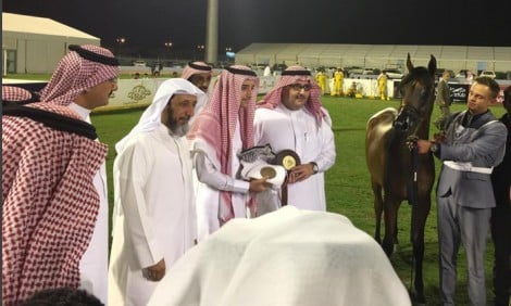 «عذبه» و«الخالدية» و«التنهاة» و «فرزان» يتفوقون في أول أيام «الأحساء الوطنية» الثامنة لجمال الخيل العربية – نتائج الفئات