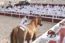 إقبال كبير بمزاد سوق واقف للخيول العربية و (يمامة الشقب) الأعلى سعراً